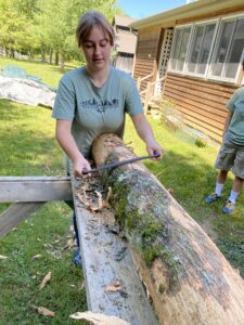 Stripping log