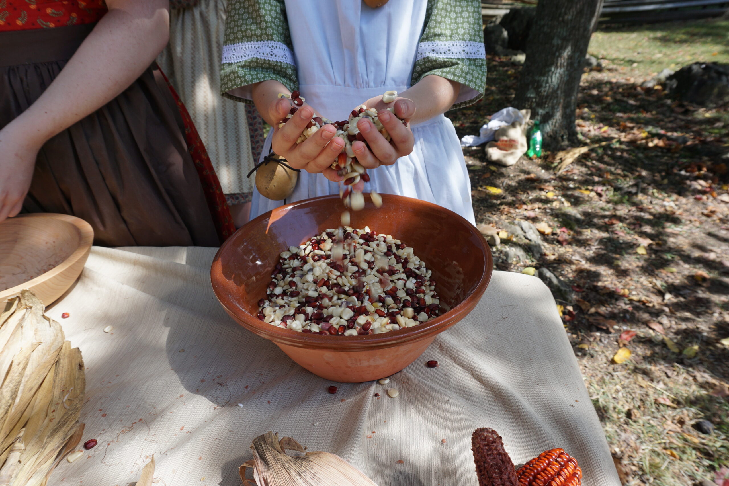 Sifting corn